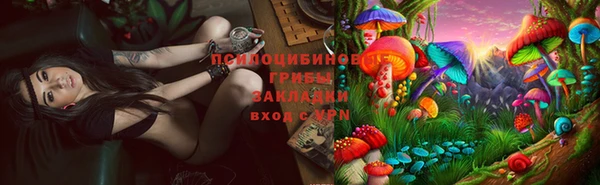 mdpv Арсеньев
